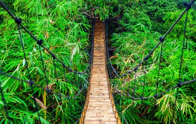 28 janvier 2026 : Journée diocésaine « Evars, allons-y »